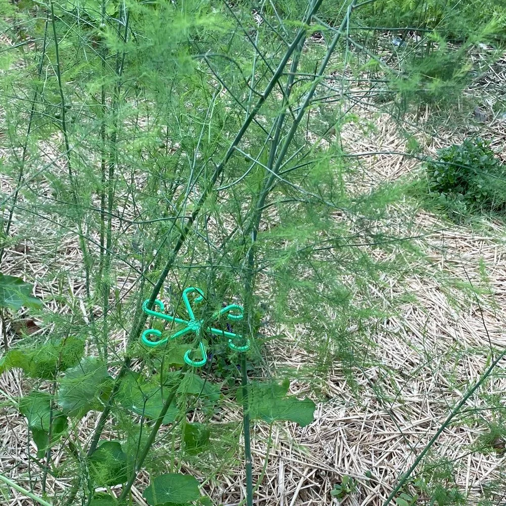 Two Sets of Plant Stem Supports, 8 Pieces, Var. Sizes. (NWOT) - Picture 6 of 6